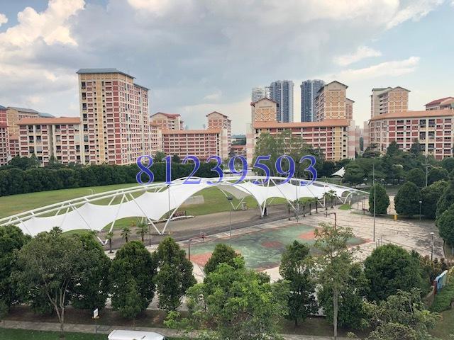 Blk 231 Bishan Street 23 (Bishan), HDB Executive #163608152